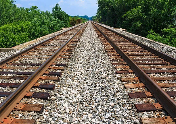 Two parallel railway tracks running side by side into the distance between green trees